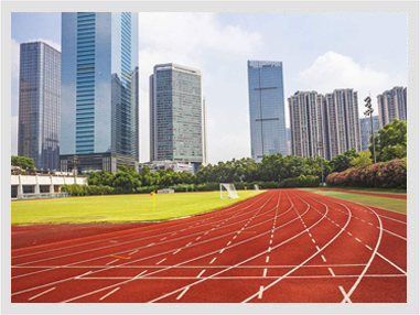 ���z�ܵ���ƺ